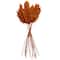 Dried Plant Pampas Natural Foliage with Long Stems